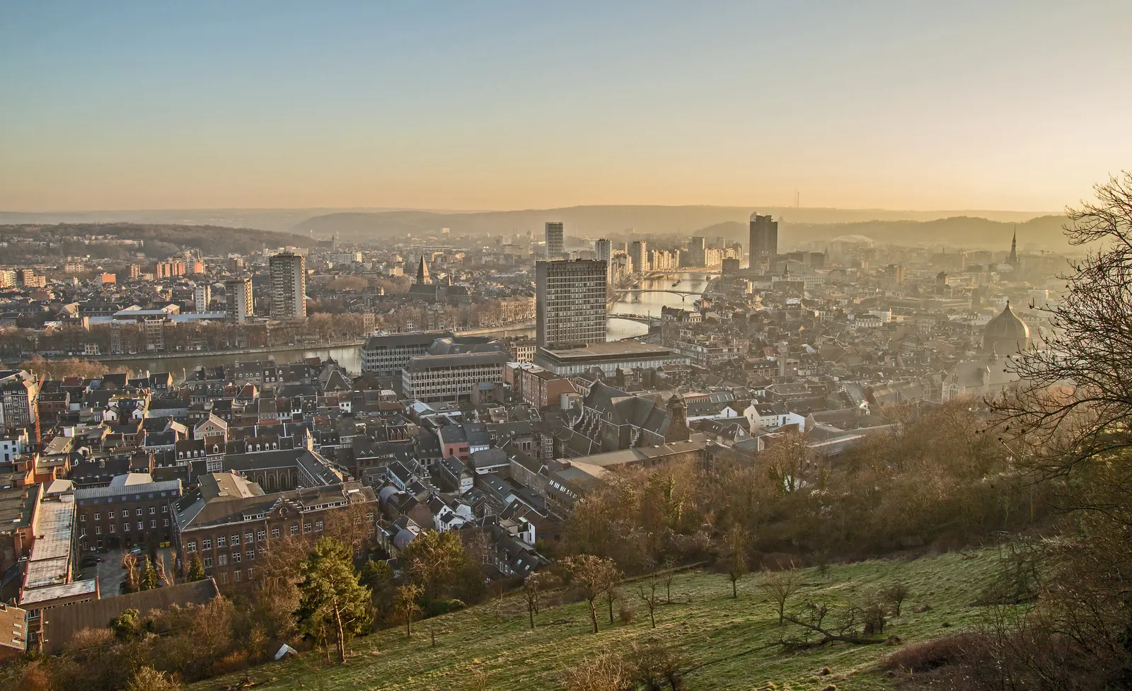 Vue de Liège et de la Meuse depuis les coteaux de la Citadelle